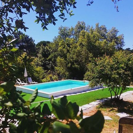 فيلا Quinta Do Marinheiro - Meco ألديا دو ميكو المظهر الخارجي الصورة