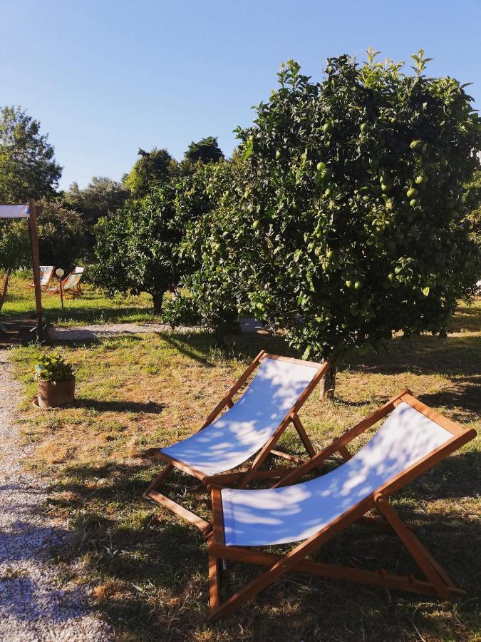 فيلا Quinta Do Marinheiro - Meco ألديا دو ميكو المظهر الخارجي الصورة